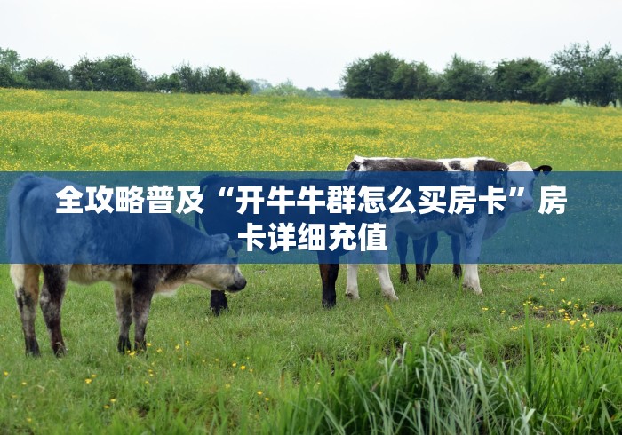 全攻略普及“开牛牛群怎么买房卡”房卡详细充值