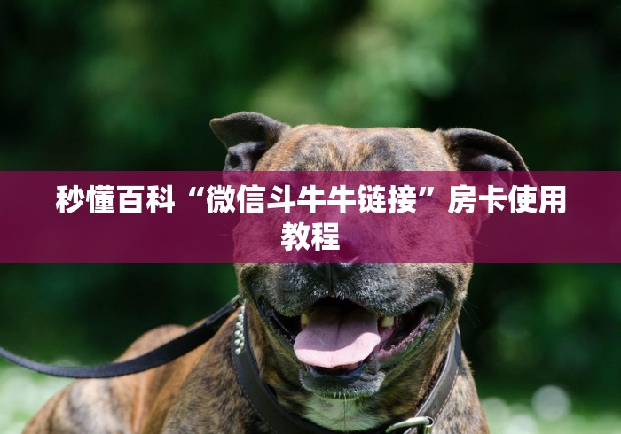 秒懂百科“微信斗牛牛链接”房卡使用教程