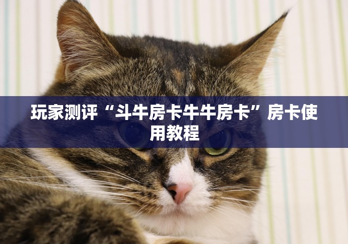 玩家测评“斗牛房卡牛牛房卡”房卡使用教程