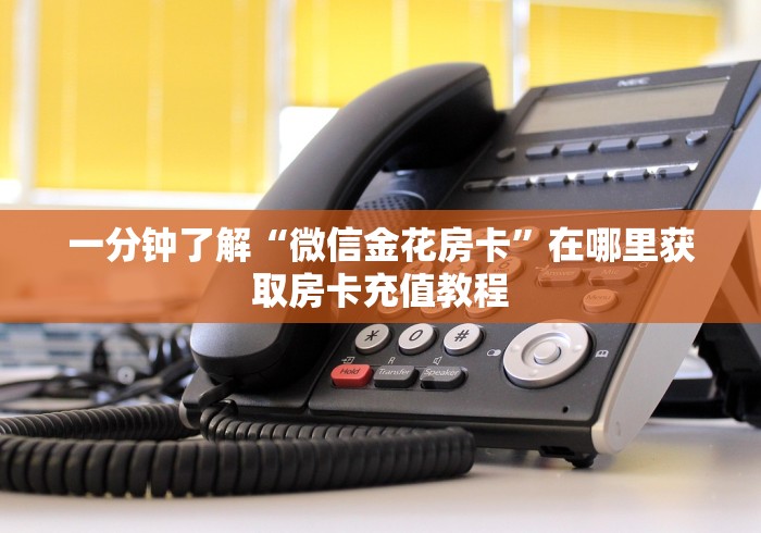 一分钟了解“微信金花房卡”在哪里获取房卡充值教程