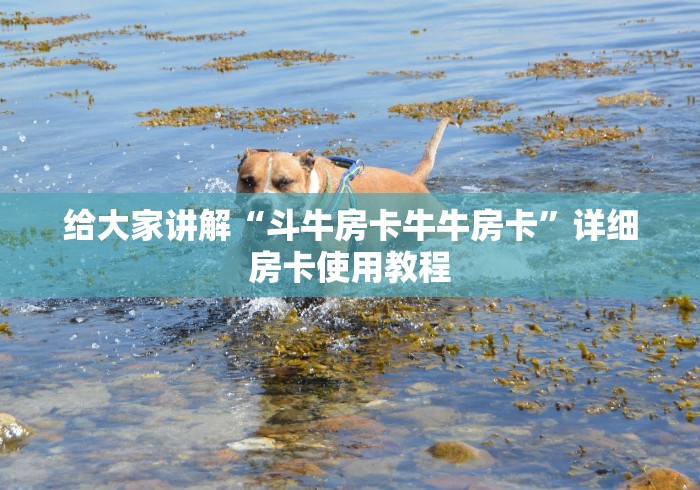 给大家讲解“斗牛房卡牛牛房卡”详细房卡使用教程