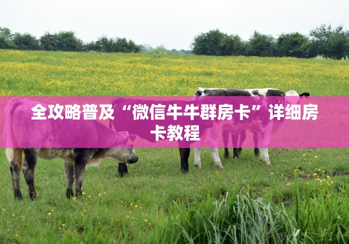 全攻略普及“微信牛牛群房卡”详细房卡教程