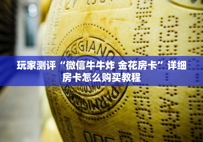 玩家测评“微信牛牛炸 金花房卡”详细房卡怎么购买教程