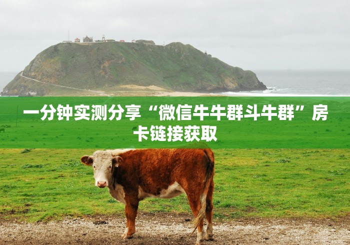 一分钟实测分享“微信牛牛群斗牛群”房卡链接获取