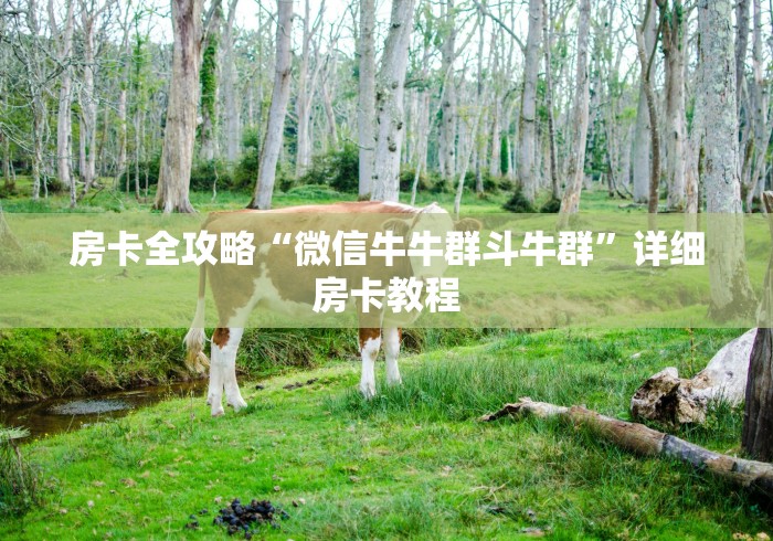 房卡全攻略“微信牛牛群斗牛群”详细房卡教程