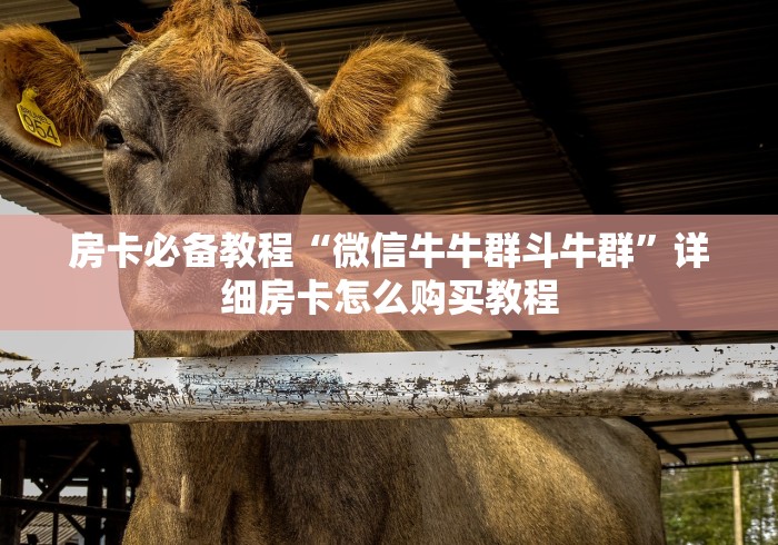 房卡必备教程“微信牛牛群斗牛群”详细房卡怎么购买教程