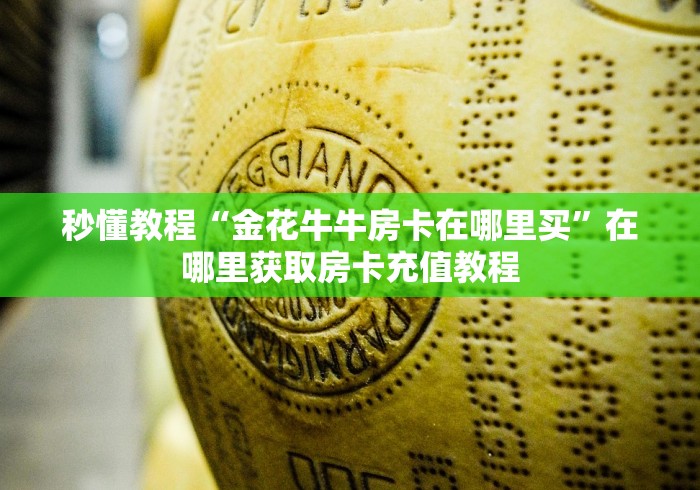 秒懂教程“金花牛牛房卡在哪里买”在哪里获取房卡充值教程