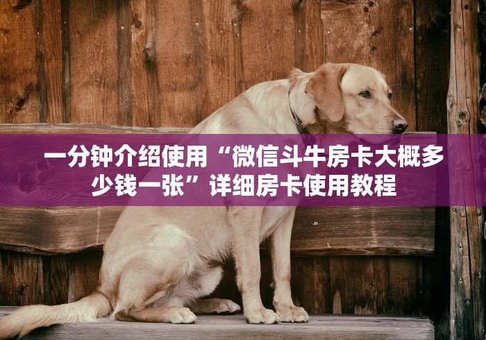 一分钟介绍使用“微信斗牛房卡大概多少钱一张”详细房卡使用教程