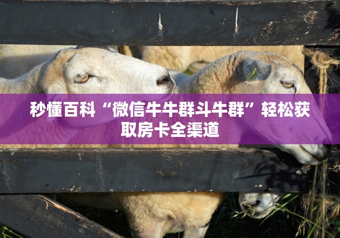 秒懂百科“微信牛牛群斗牛群”轻松获取房卡全渠道