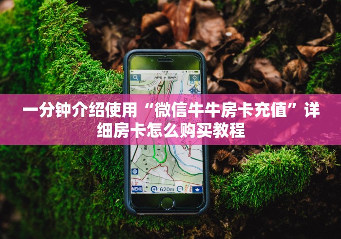一分钟介绍使用“微信牛牛房卡充值”详细房卡怎么购买教程