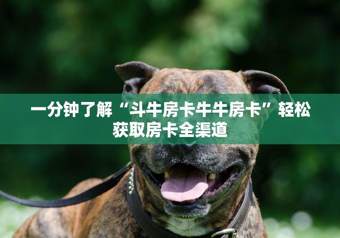 一分钟了解“斗牛房卡牛牛房卡”轻松获取房卡全渠道