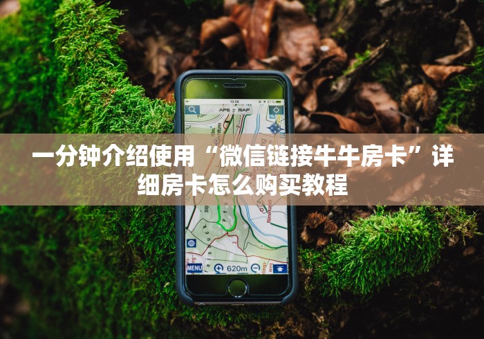 一分钟介绍使用“微信链接牛牛房卡”详细房卡怎么购买教程