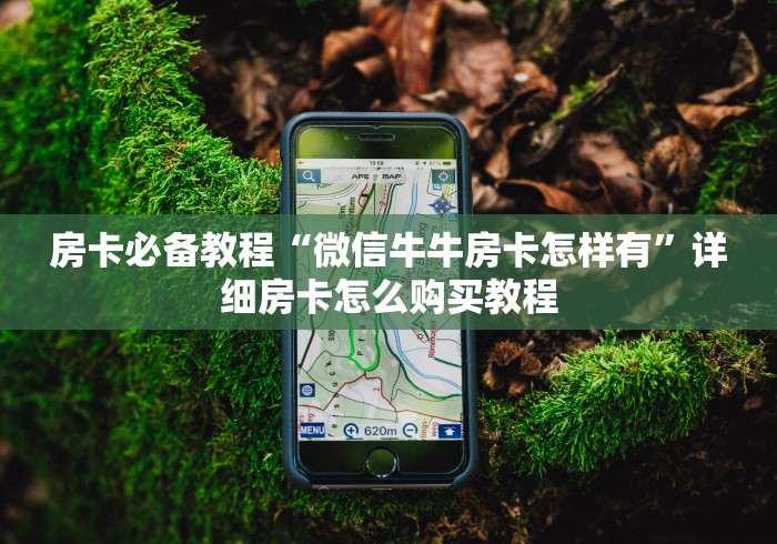 房卡必备教程“微信牛牛房卡怎样有”详细房卡怎么购买教程