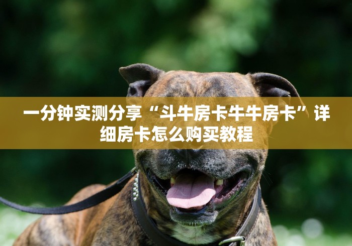 一分钟实测分享“斗牛房卡牛牛房卡”详细房卡怎么购买教程 一分钟实测分享“斗牛房卡牛牛房卡”详细房卡怎么购买教程