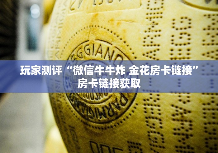 玩家测评“微信牛牛炸 金花房卡链接”房卡链接获取