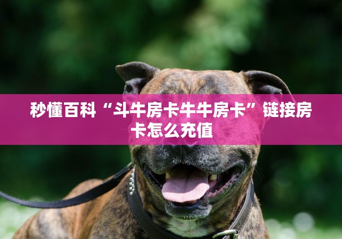 秒懂百科“斗牛房卡牛牛房卡”链接房卡怎么充值