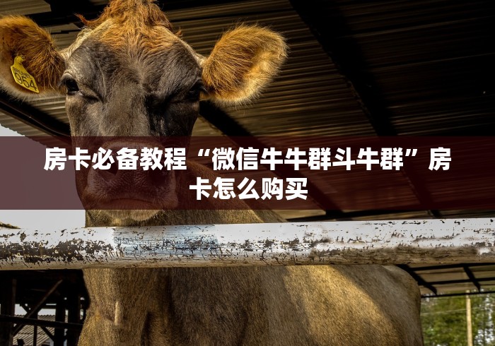房卡必备教程“微信牛牛群斗牛群”房卡怎么购买