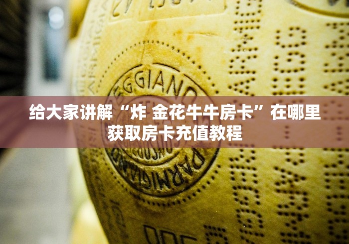 给大家讲解“炸 金花牛牛房卡”在哪里获取房卡充值教程