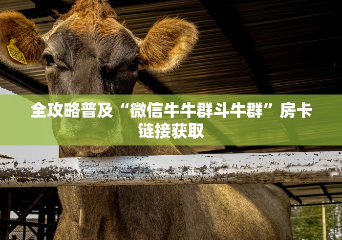 全攻略普及“微信牛牛群斗牛群”房卡链接获取 全攻略普及“微信牛牛群斗牛群”房卡链接获取