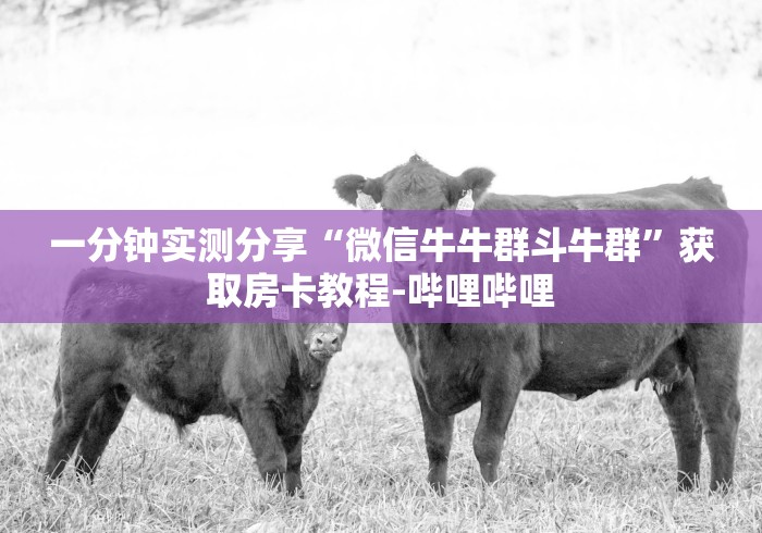 一分钟实测分享“微信牛牛群斗牛群”获取房卡教程-哔哩哔哩