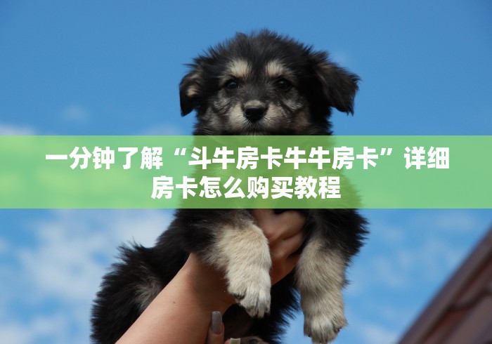 一分钟了解“斗牛房卡牛牛房卡”详细房卡怎么购买教程