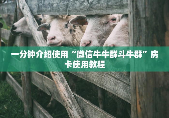 一分钟介绍使用“微信牛牛群斗牛群”房卡使用教程