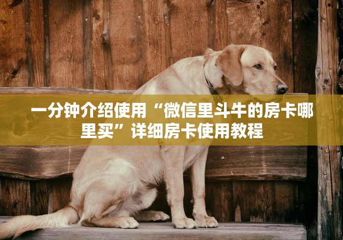 房卡秒懂“微信炸 金花怎么卖房卡”详细房卡教程