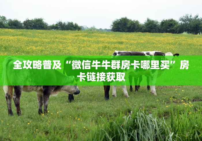 全攻略普及“微信牛牛群房卡哪里买”房卡链接获取