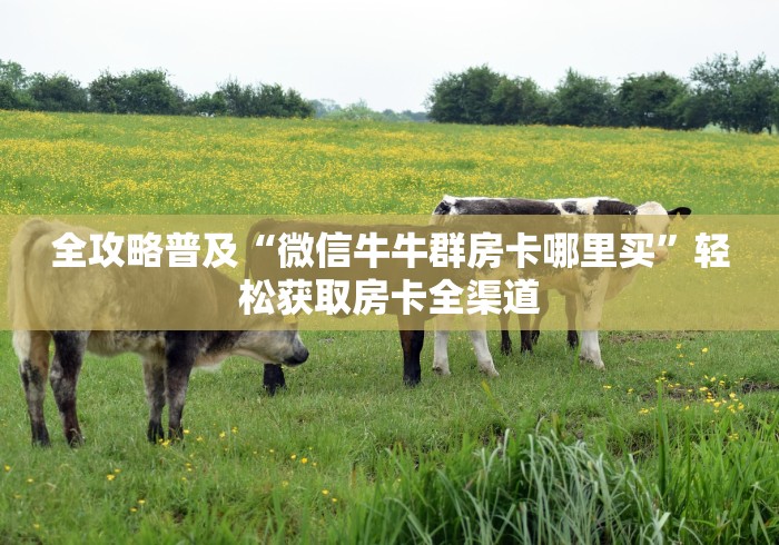 全攻略普及“微信牛牛群房卡哪里买”轻松获取房卡全渠道