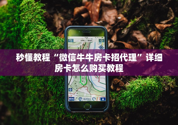 秒懂教程“微信牛牛房卡招代理”详细房卡怎么购买教程 秒懂教程“微信牛牛房卡招代理”详细房卡怎么购买教程