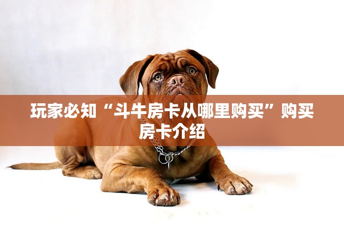 玩家必知“斗牛房卡从哪里购买”购买房卡介绍