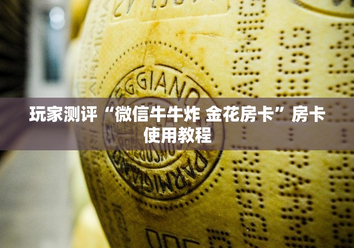 玩家测评“微信牛牛炸 金花房卡”房卡使用教程