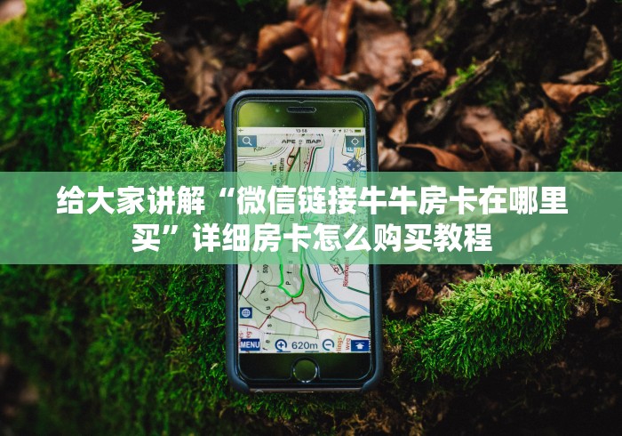 给大家讲解“微信链接牛牛房卡在哪里买”详细房卡怎么购买教程