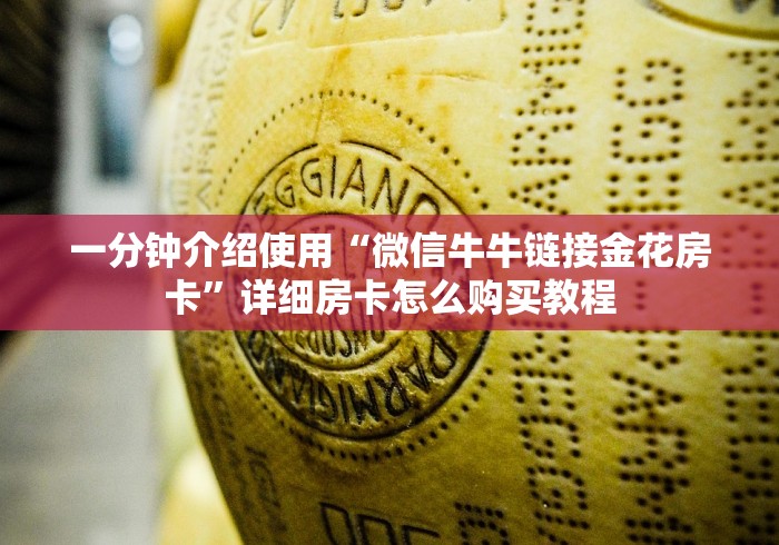 一分钟介绍使用“微信牛牛链接金花房卡”详细房卡怎么购买教程