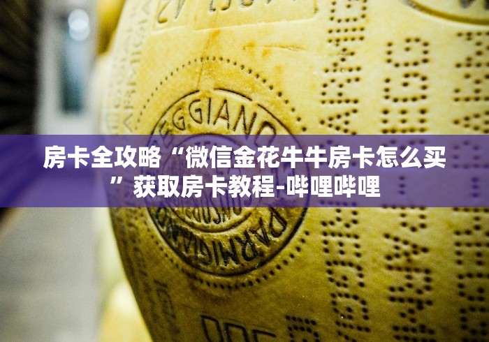 房卡全攻略“微信金花牛牛房卡怎么买”获取房卡教程-哔哩哔哩