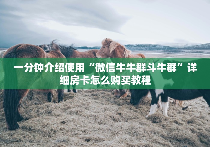 一分钟介绍使用“微信牛牛群斗牛群”详细房卡怎么购买教程 一分钟介绍使用“微信牛牛群斗牛群”详细房卡怎么购买教程