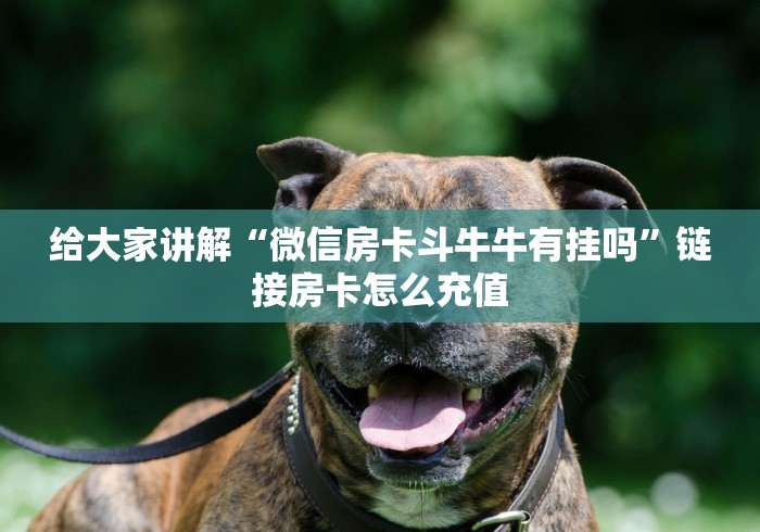 给大家讲解“微信房卡斗牛牛有挂吗”链接房卡怎么充值