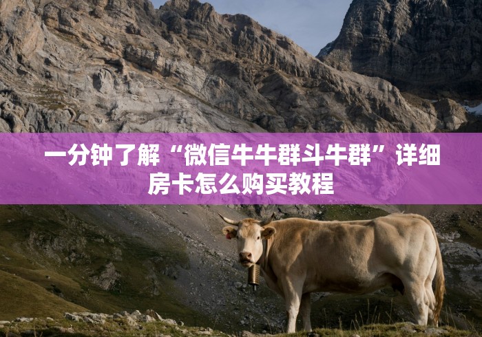 一分钟了解“微信牛牛群斗牛群”详细房卡怎么购买教程