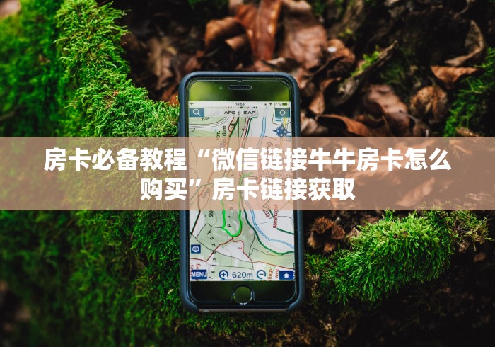 房卡必备教程“微信链接牛牛房卡怎么购买”房卡链接获取
