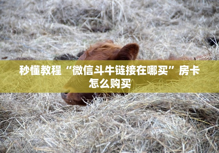 秒懂教程“微信斗牛链接在哪买”房卡怎么购买