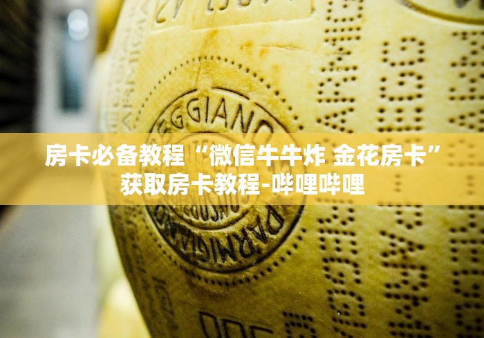 房卡必备教程“微信牛牛炸 金花房卡”获取房卡教程-哔哩哔哩