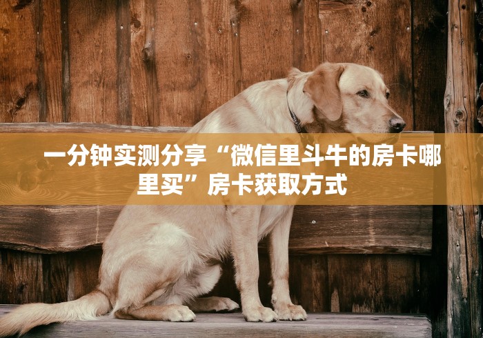 一分钟实测分享“微信里斗牛的房卡哪里买”房卡获取方式