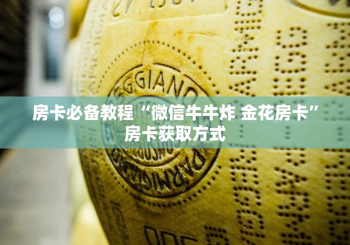 房卡必备教程“微信牛牛炸 金花房卡”房卡获取方式