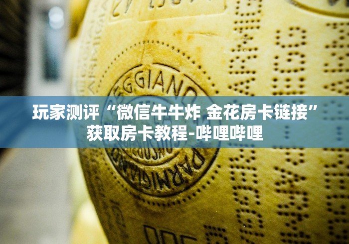 玩家测评“微信牛牛炸 金花房卡链接”获取房卡教程-哔哩哔哩