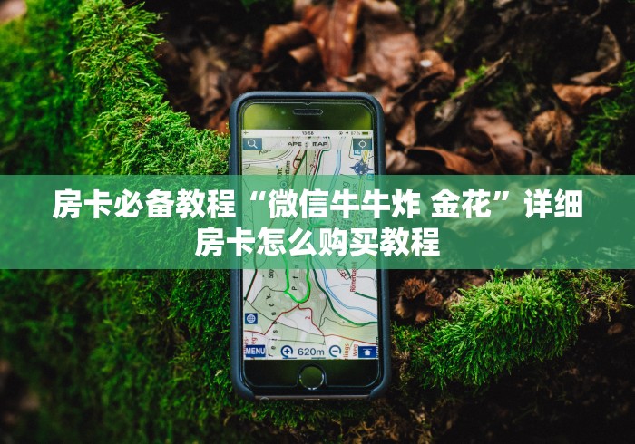 房卡必备教程“微信牛牛炸 金花”详细房卡怎么购买教程