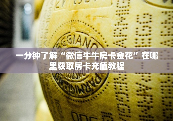 一分钟了解“微信牛牛房卡金花”在哪里获取房卡充值教程