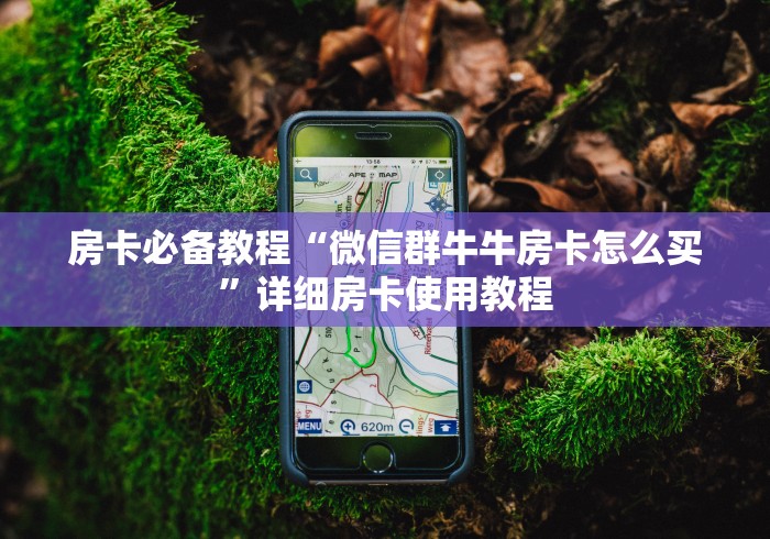 房卡必备教程“微信群牛牛房卡怎么买”详细房卡使用教程