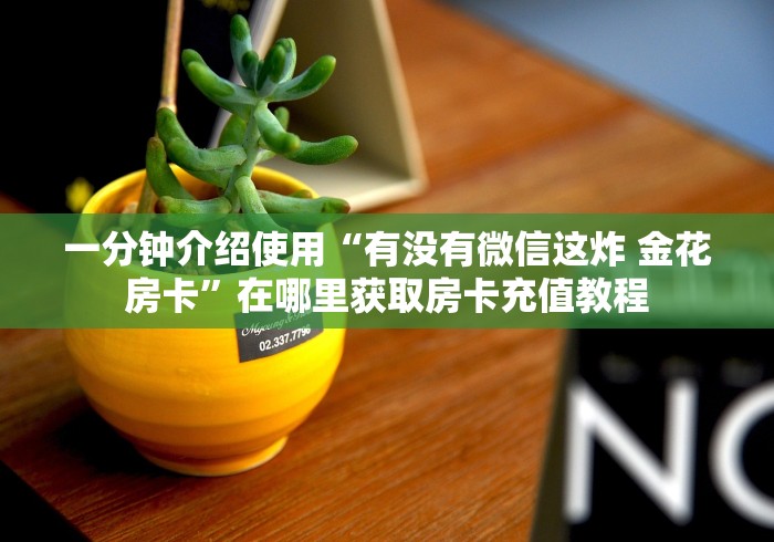 一分钟介绍使用“有没有微信这炸 金花房卡”在哪里获取房卡充值教程