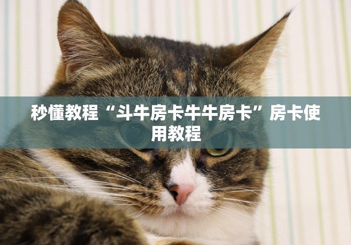 秒懂教程“斗牛房卡牛牛房卡”房卡使用教程 秒懂教程“斗牛房卡牛牛房卡”房卡使用教程