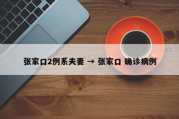 张家口2例系夫妻 → 张家口 确诊病例